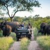 The Best Safari Destinations in Southern Africa