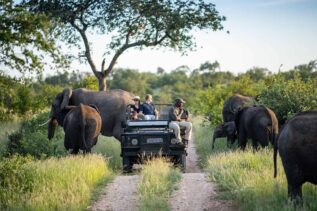 The Best Safari Destinations in Southern Africa