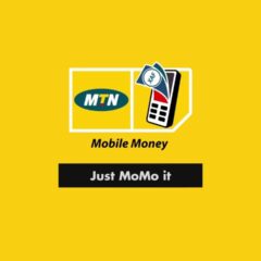 What is Mobile Money