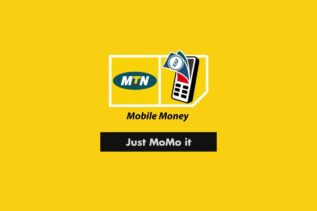 What is Mobile Money