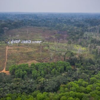 Facts About the Congo Basin