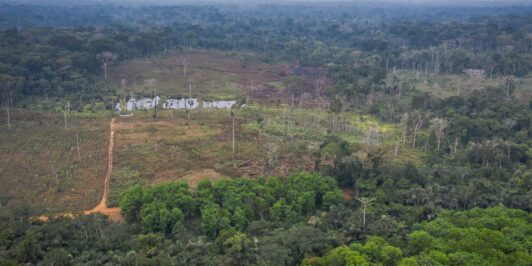 Facts About the Congo Basin