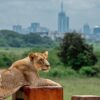 Safaris in Nairobi